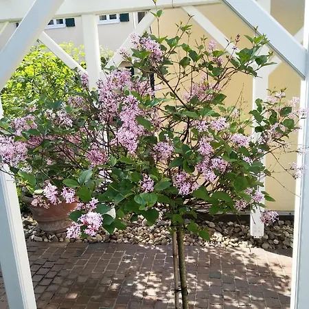 Living Am Carlsplatz