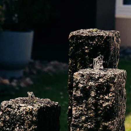 Living Am Carlsplatz *