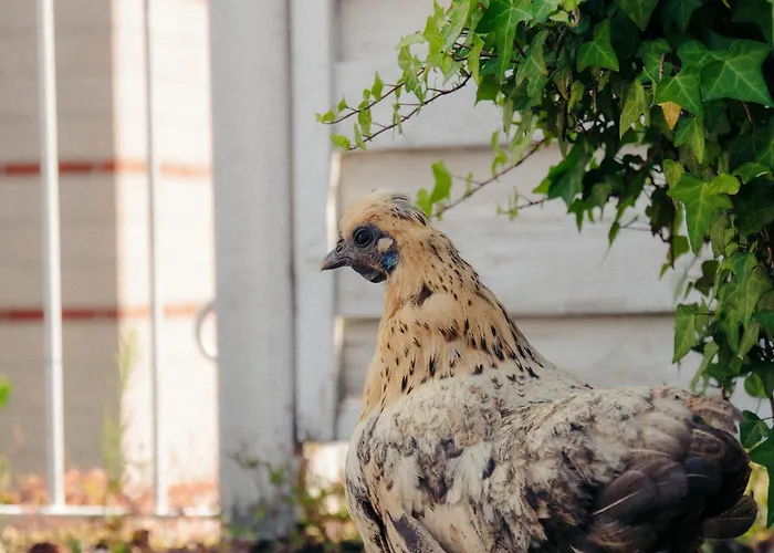 Living Am Carlsplatz Appartement Düsseldorf