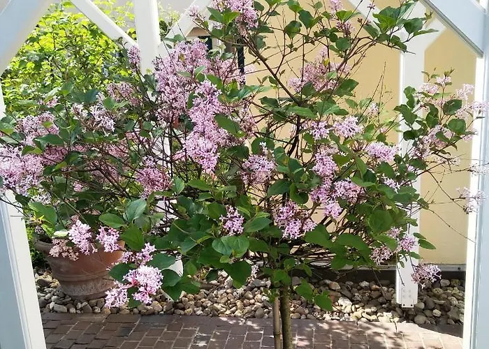 Living Am Carlsplatz